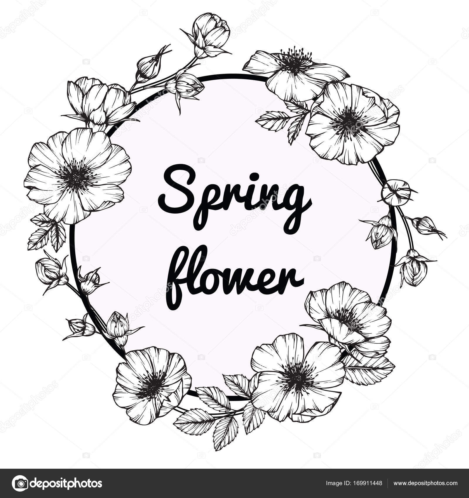 1600x1700 Wild Rose Flower Frame Drawing. Drawing Sketch With Black