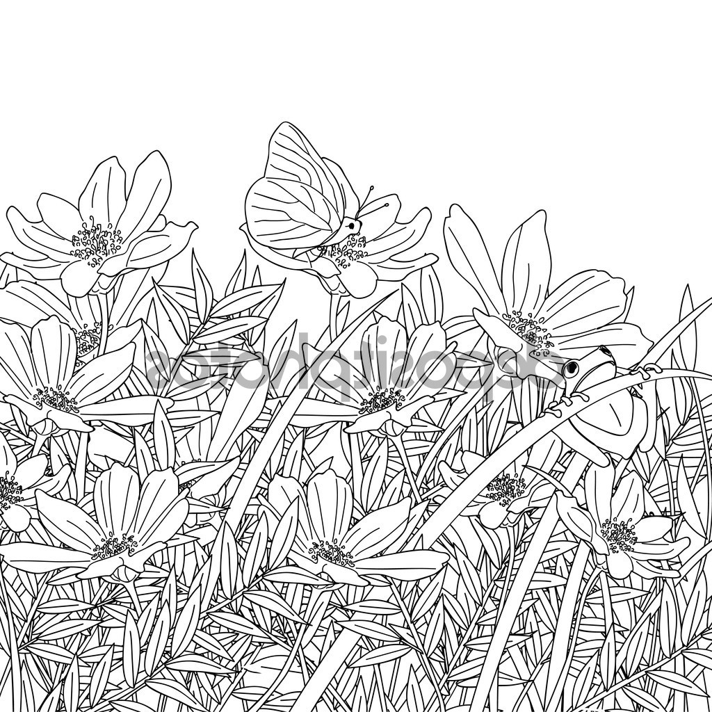 1024x1024 Flower Garden Drawing Black And White Sketch Of Flower Garden