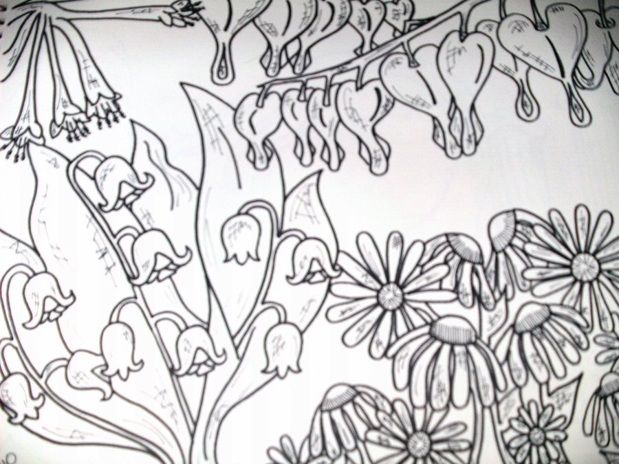 900x675 Flower Garden By Tonitiger415