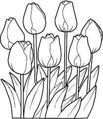 209x241 How To Draw Tulips Tulipany Drawings, Drawing Step