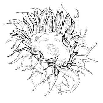 354x354 Best Flower Coloring Pages Products On Wanelo