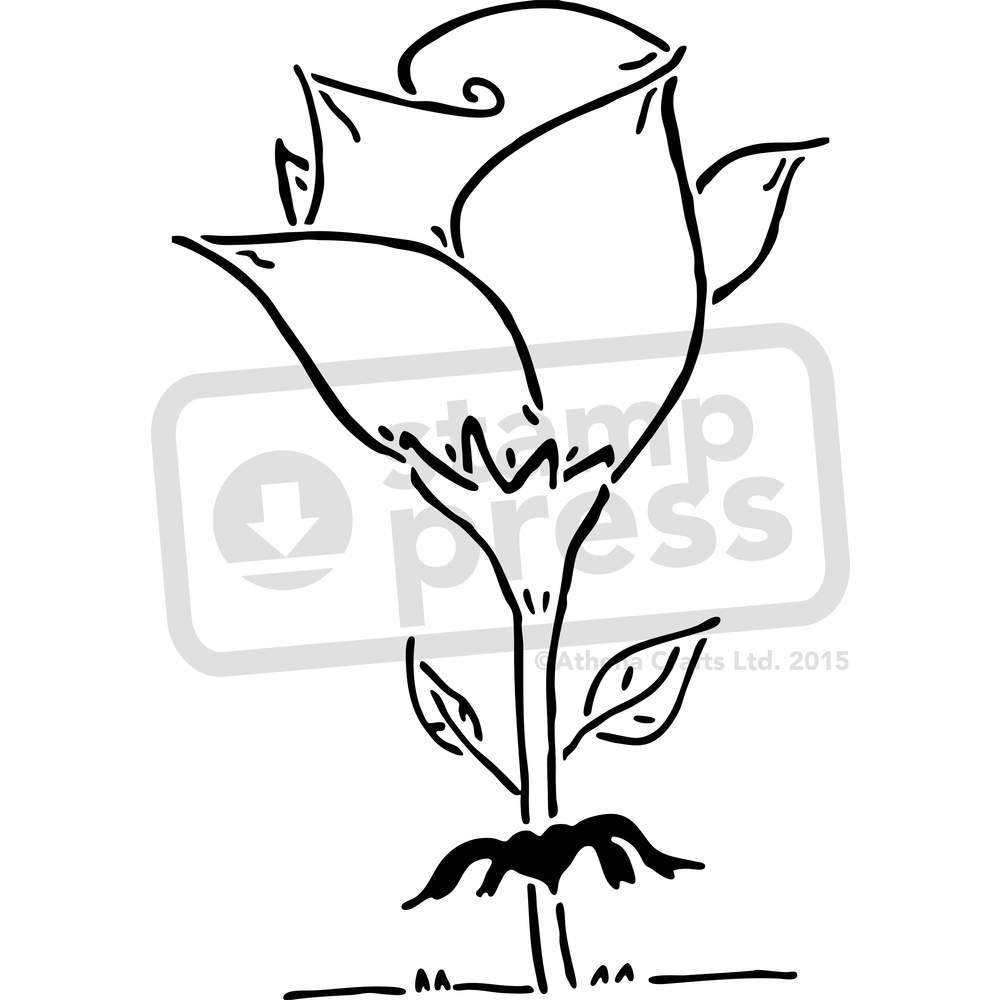 1000x1000 Growing Rose Flower' Wall Stencils Templates (Vws0009349) Ebay