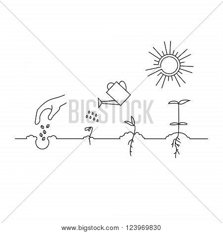 450x470 Line Sprout Plant Growing. Linear Vector Amp Photo Bigstock