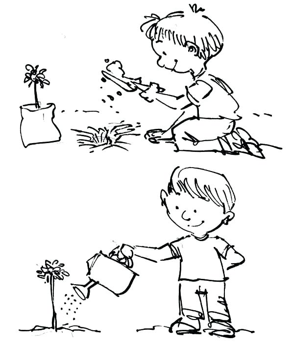 600x704 Coloring Pages Trees Plants And Flowers Flower Growing Coloring