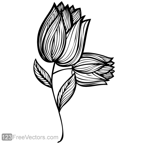 600x600 Hand Drawn Rose Flower Design Download Free Vector Graphics