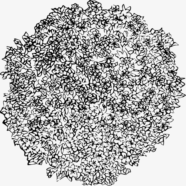 650x652 Beautiful Flower Hand Drawn Line Drawing, Pattern, Culture And Art