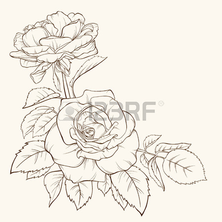 450x450 Hand Drawn Flower Stock Photos. Royalty Free Business Images