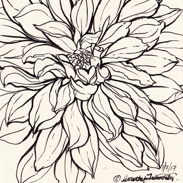 Flower Ink Drawing