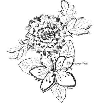 354x354 Shop Flower Ink Drawings On Wanelo