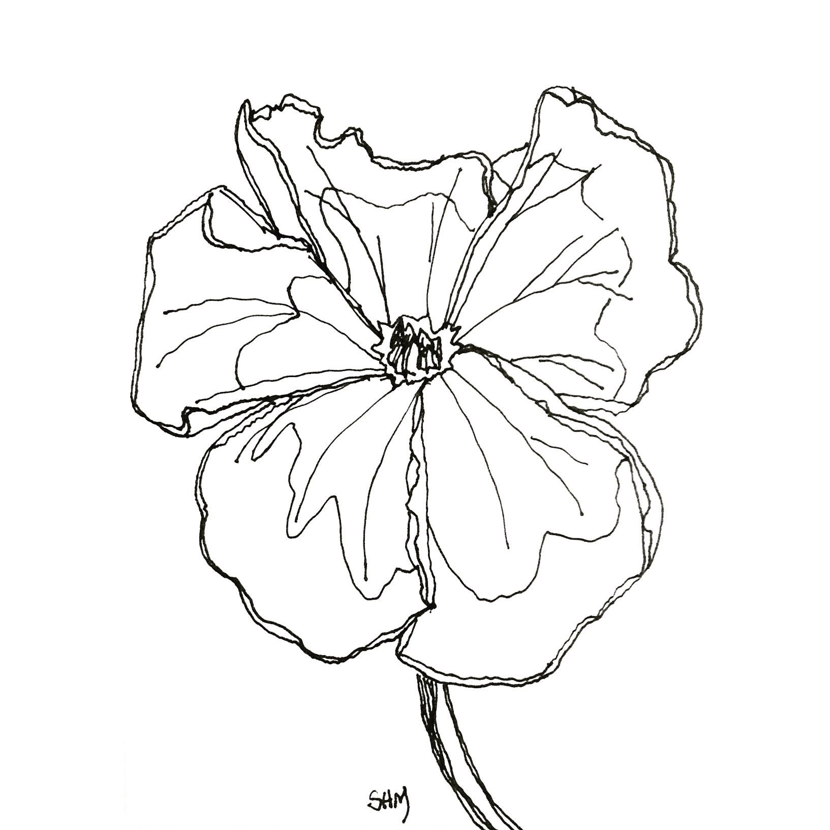 1633x1633 Spring Flower