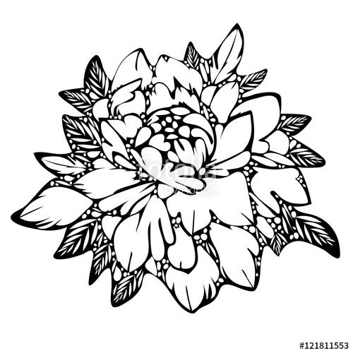 Flower Leaves Drawing