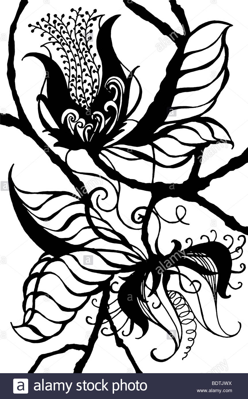 863x1390 Original Black On White Drawing Of Exotic Fantasy Botanical