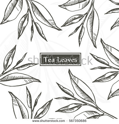 450x470 Tea Leaves Linear Drawing Graphic Design Vintage