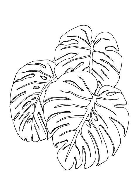 458x647 Leaf Pattern Black And White