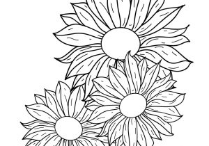 300x210 Flowers Line Drawings Flowers Line Drawing Free Download Clip