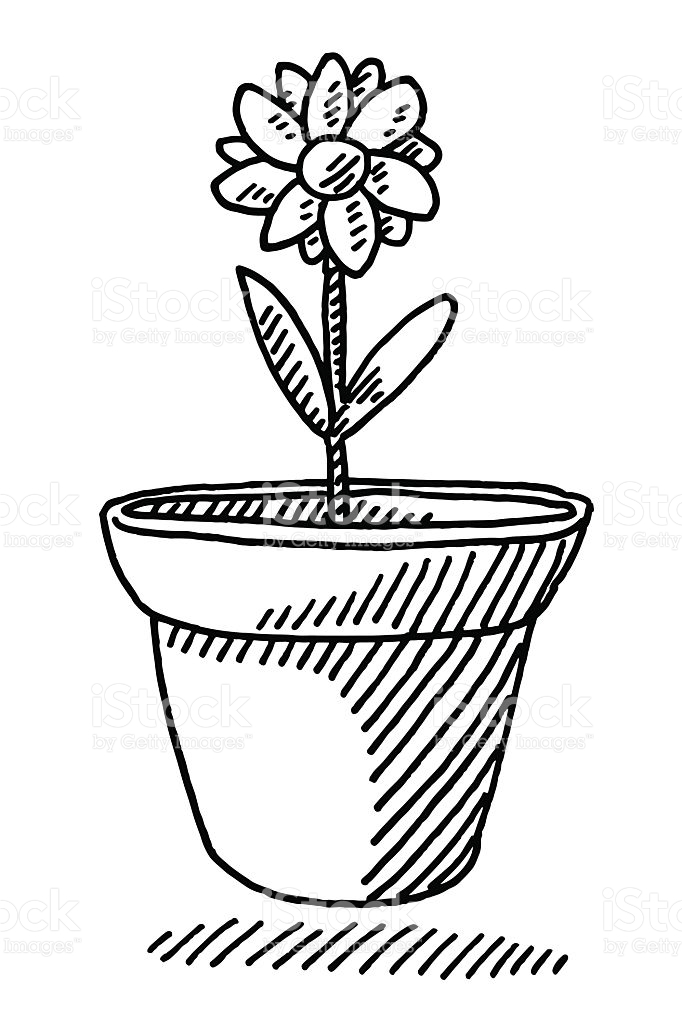 682x1024 Pot Plant Clipart Line Drawing Flower