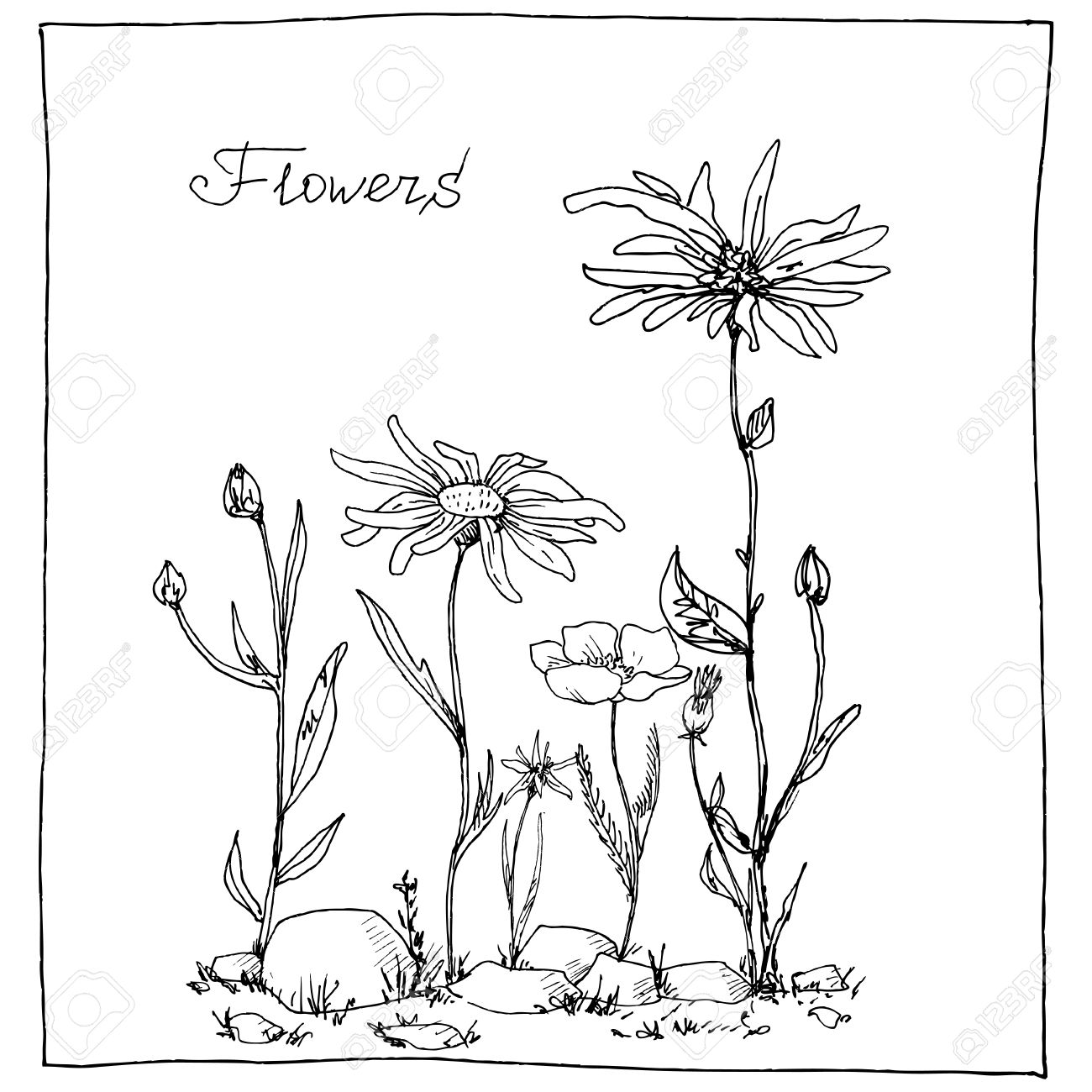 1300x1300 Floral Composition With Ink Drawing Herbs And Flowers In