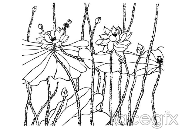 600x424 Life Like Lotus Flower Line Drawing Vector Over Millions Vectors