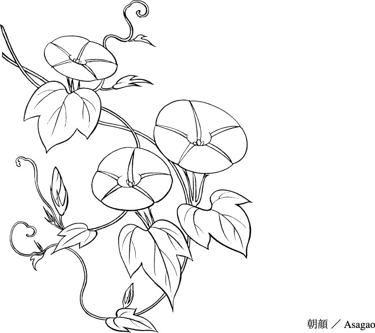 743x659 Line Drawing Of Flowers 9 Free Vector 4vector