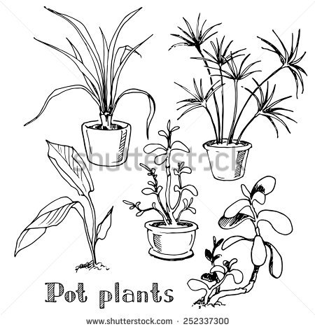450x470 Pot Plant Clipart Line Drawing Flower