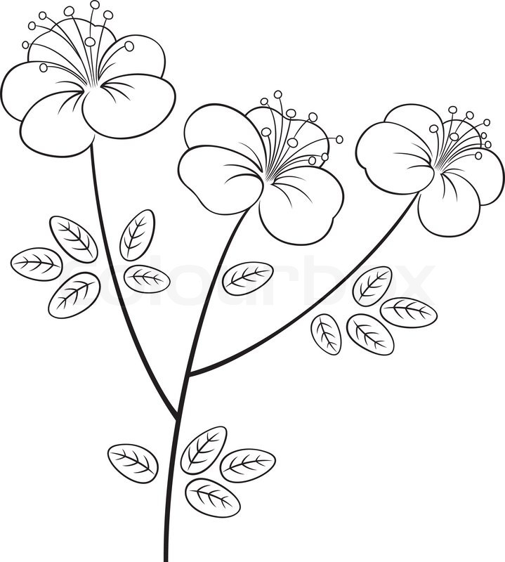 719x800 Pretty Flower Line Art Stock Vector Colourbox
