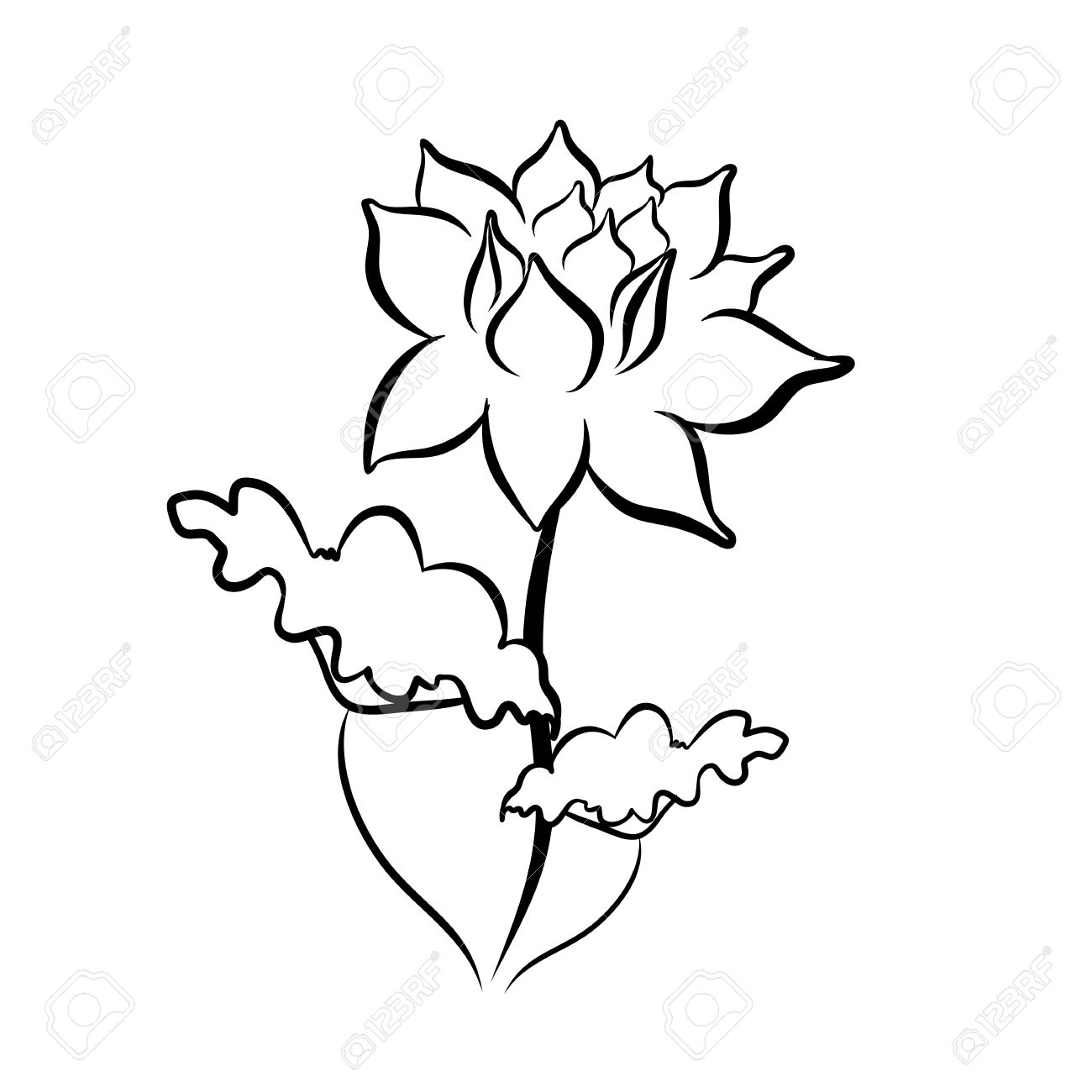 1300x1300 Sketch Line Drawing Of Lotus Flower Isolated Illustration