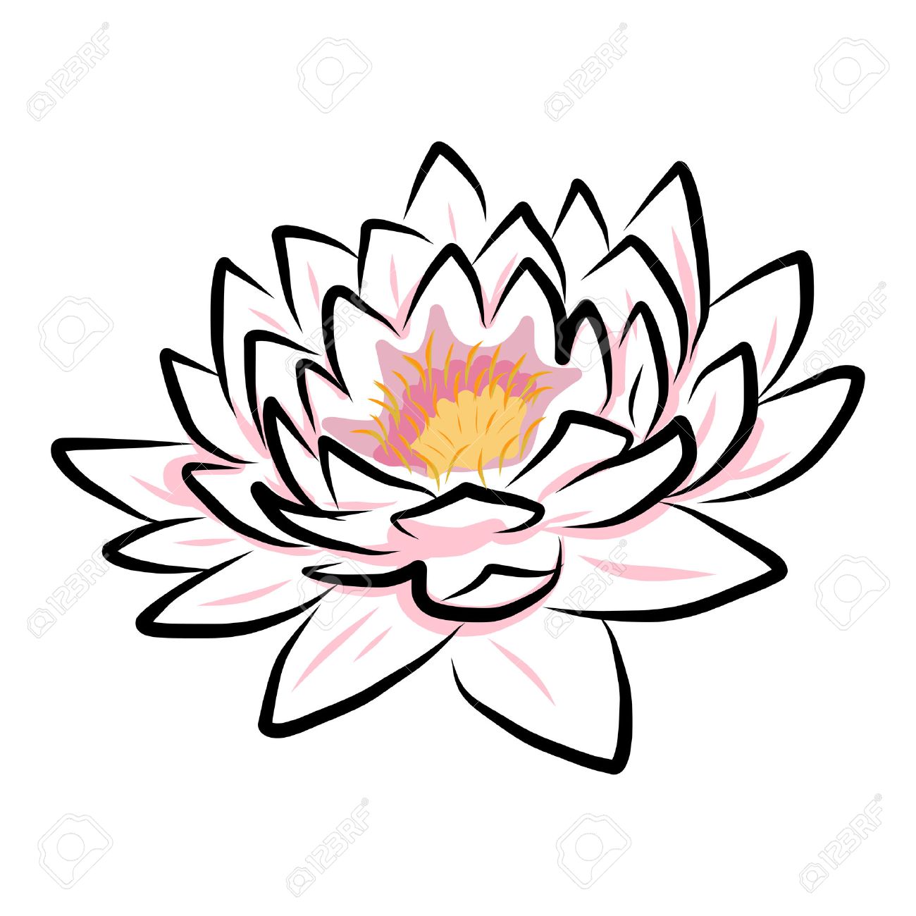 1300x1300 Hand Drawing Water Lily, Lotus, Flower. Vector Eps10 Royalty Free