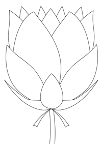 200x285 Lotus Flower Drawing Lesson