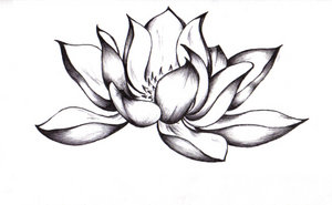 300x185 Pix For Gt Buddha Lotus Flower Drawing Ideas Lotus