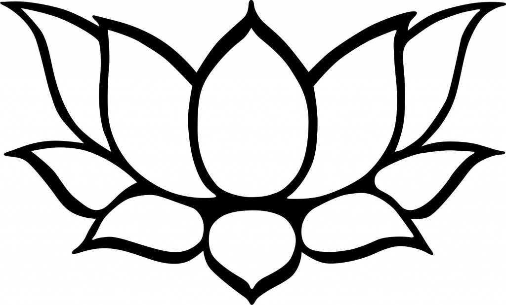 1024x619 Drawings Of Lotus Flowers Simple Lotus Flower Drawing Lotus