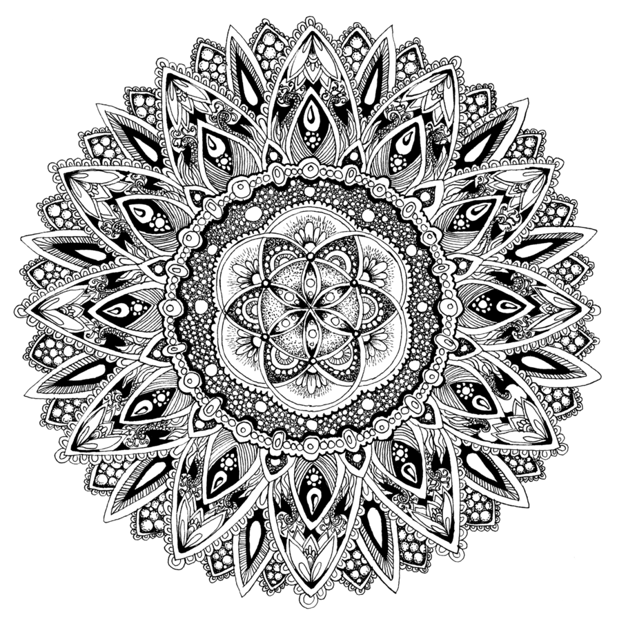 894x894 Flower Mandala By Tekslus