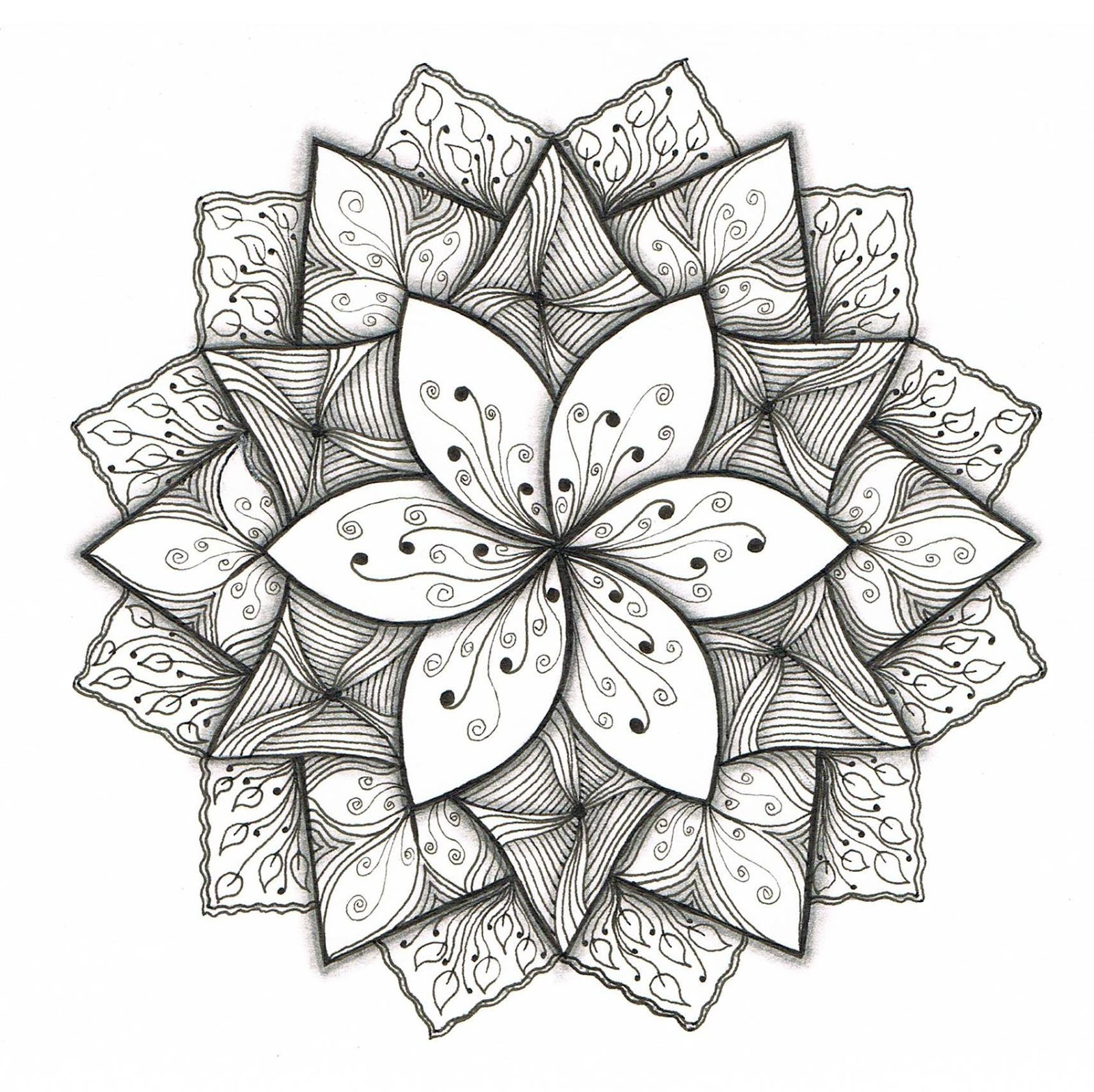 1600x1598 Simple And Easy Designs Draw On Paper Simple Flower Designs