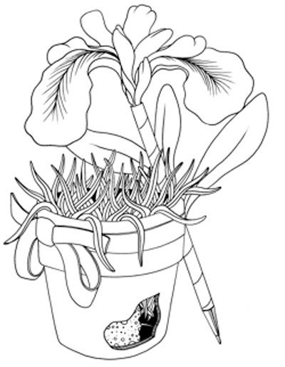 400x515 Flower Pen Craft For Kids.