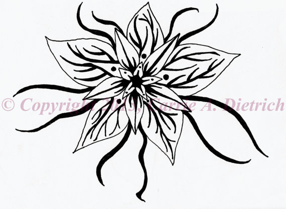 570x418 Black And White Art Pen And Ink Flower Design Illustration