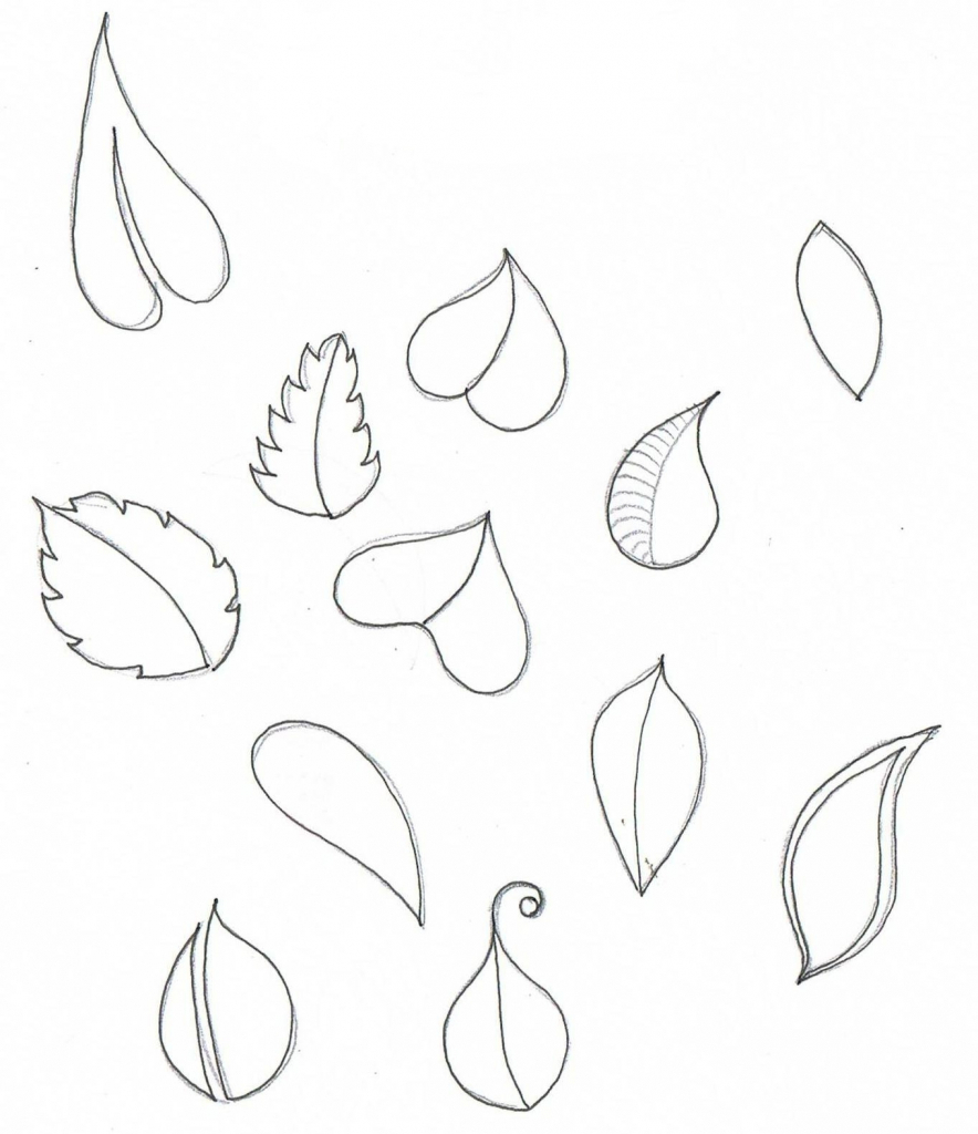 884x1024 Flower Petals Drawing Flower Petal Drawing Drawing Artisan