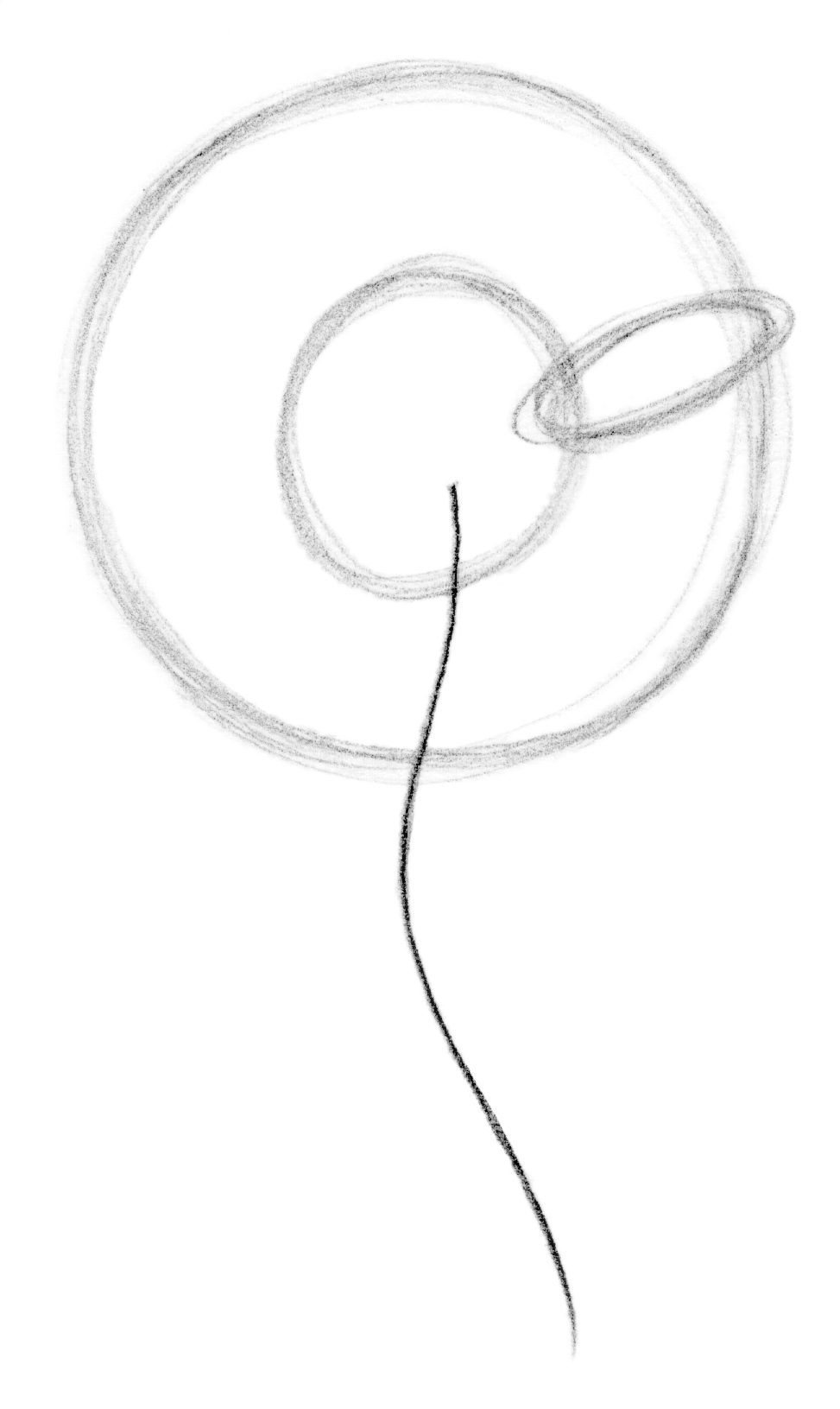 973x1631 Drawing Lesson Flower The Scribbles Institute