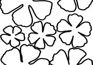 300x210 Flower Petal Drawing