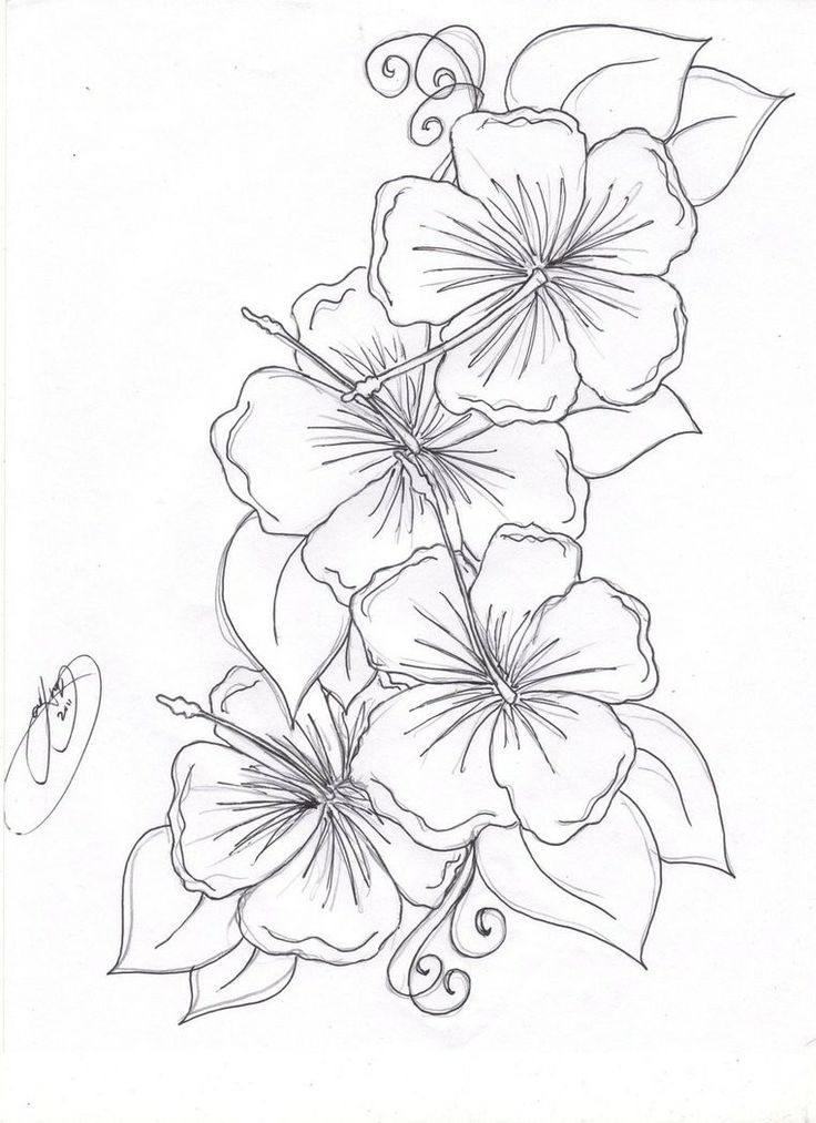 736x1013 Free Flower Petals Coloring Pages 466530