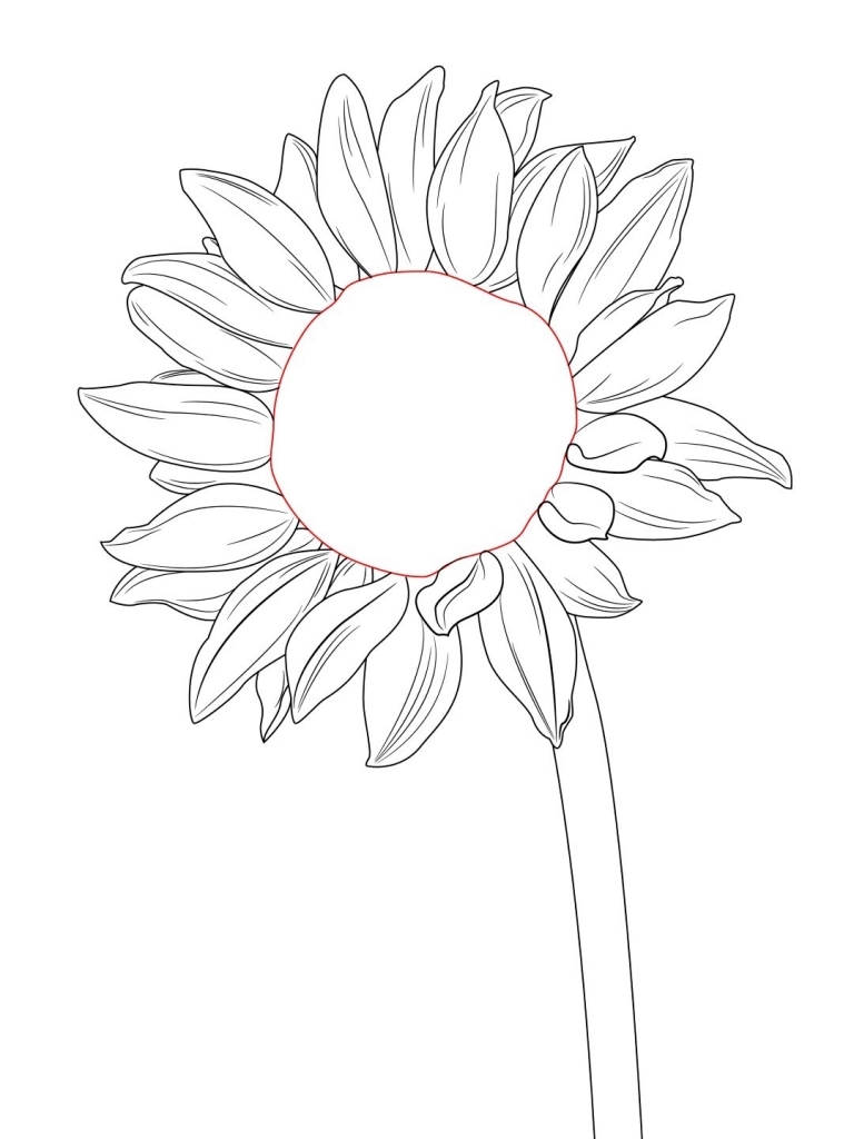 768x1024 How To Draw Flower Petals How To Draw A Sunflower Draw Central