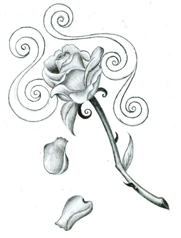 611x800 Rose Z Petals Tattoo Design