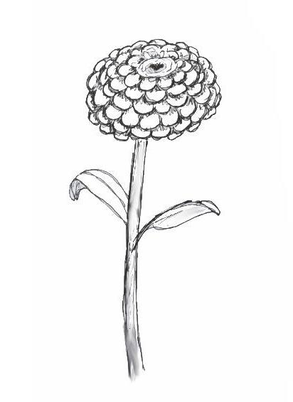 412x566 Zinnias Art Class Ideas