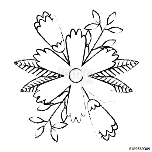 500x500 Flower Petals Leaves Nature Decoration Vector Illustration Sketch