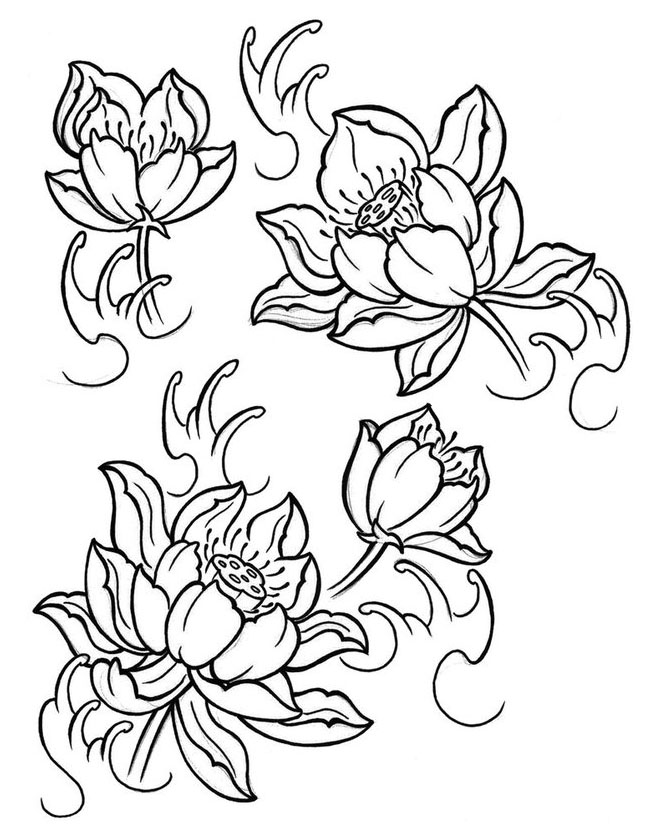 Flower Picture Drawing