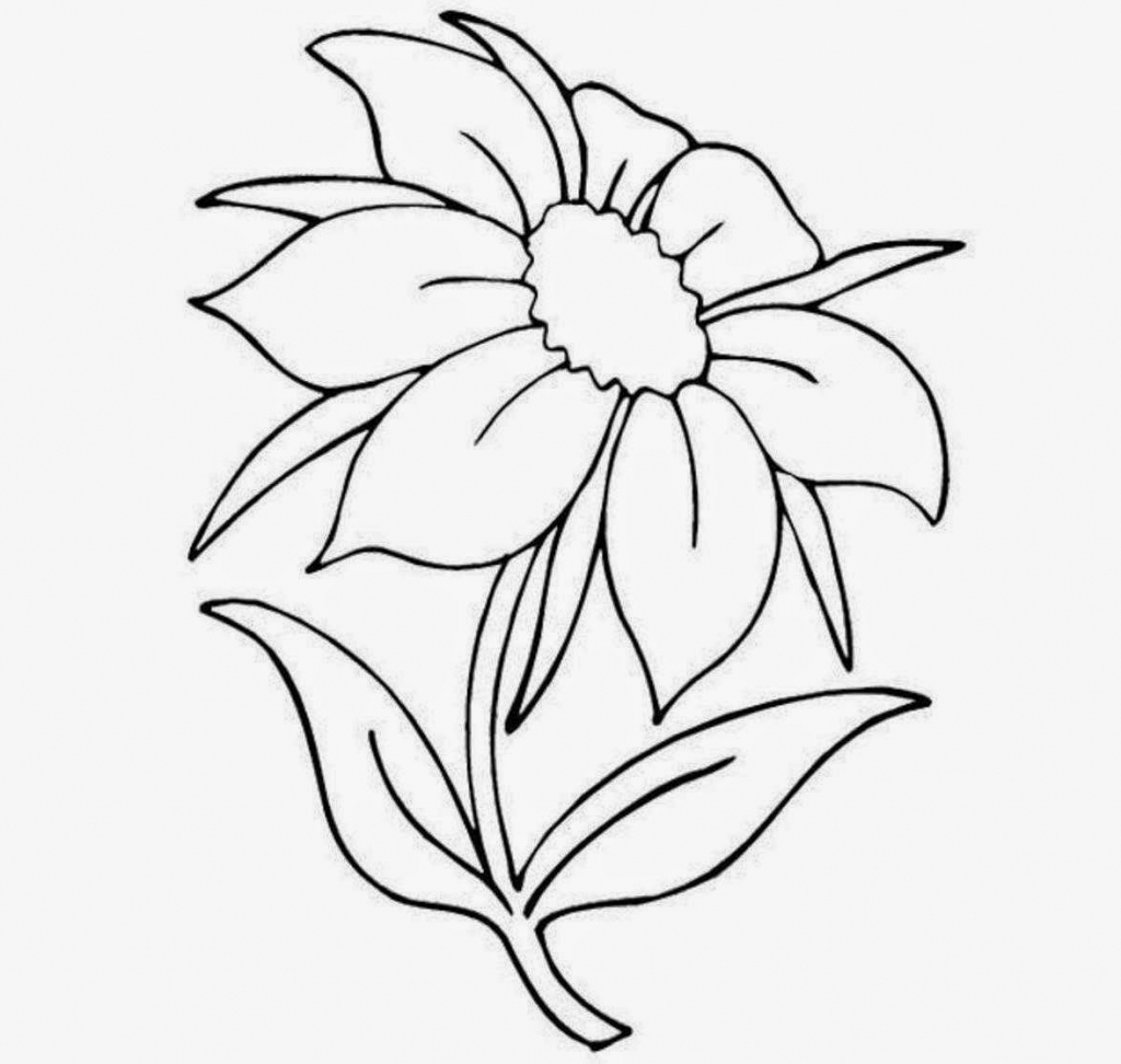 1024x972 Flower Picture Drawing Easy How To Draw Easy Flowers Stepstep