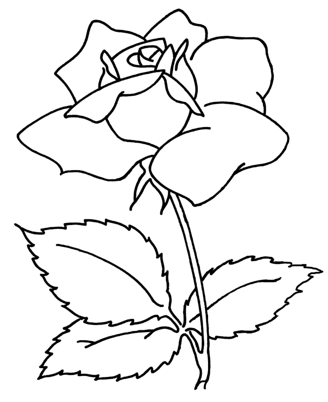 670x820 Flowers Drawing Pages