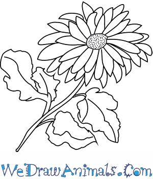 300x350 How To Draw A Dahlia Flower