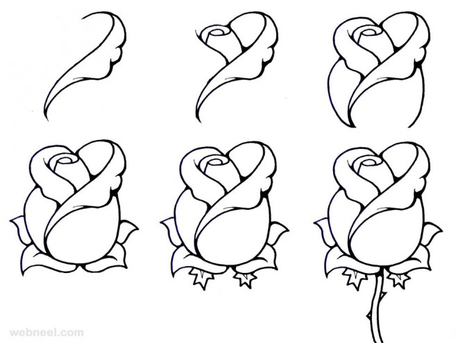 660x495 Flower Drawing Step By Step 33