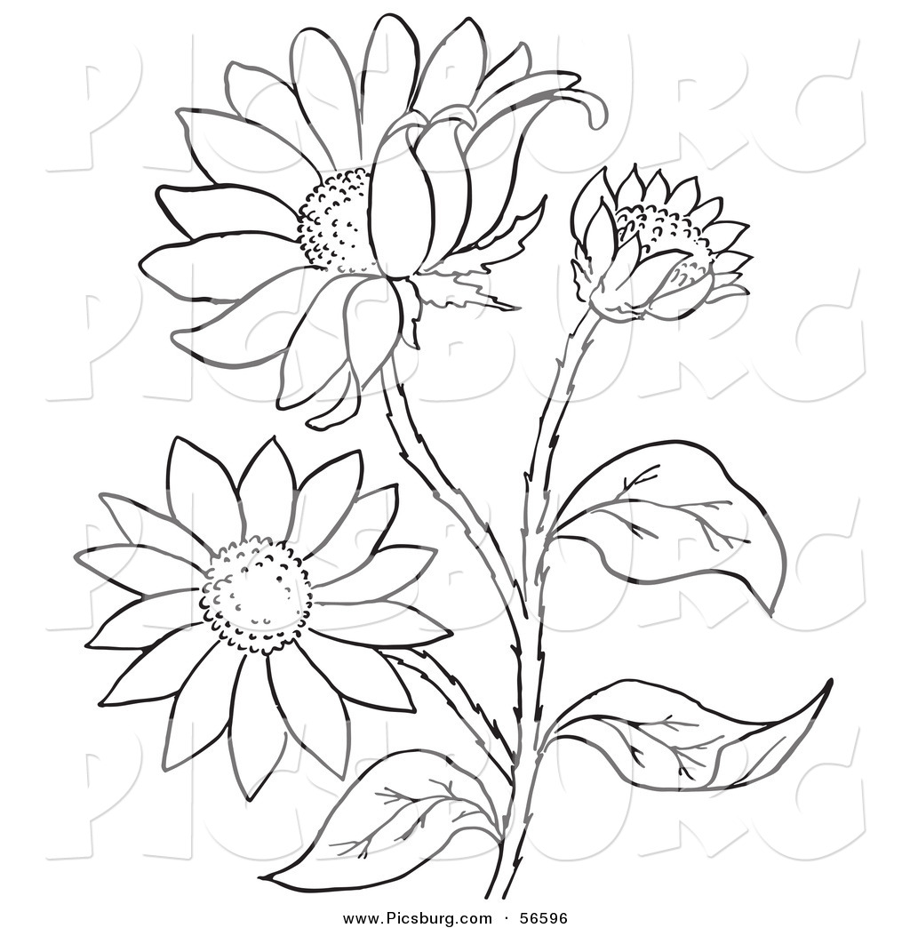 1024x1044 Free Printable Black Art Clip Art Of A Coloring Page Of A Black