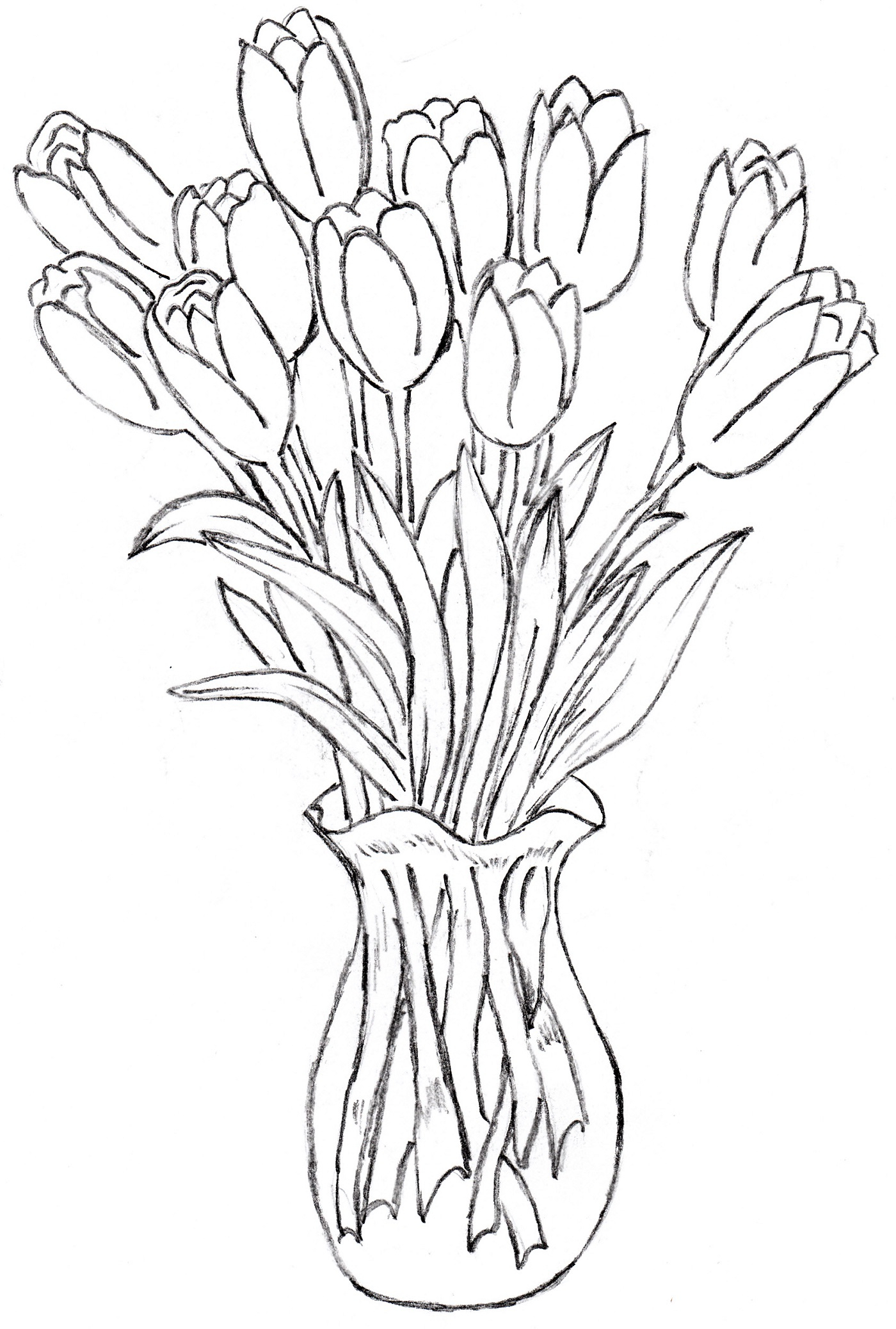 1400x2076 50 New Flower Vase Drawing