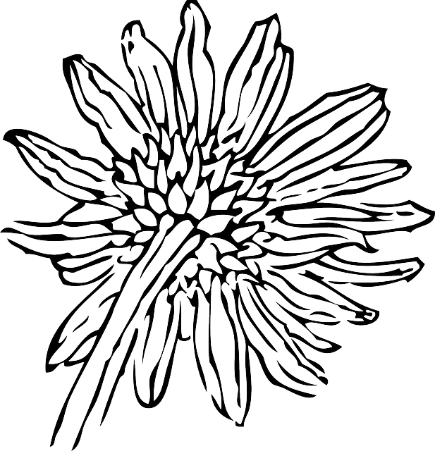 617x640 Black, Back, Outline, Drawing, Flower, White, Plant